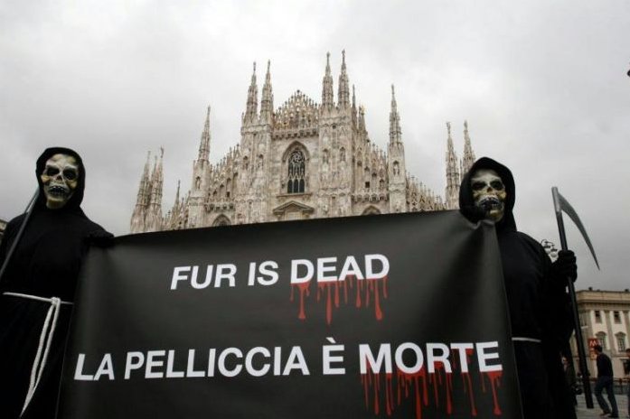 fur is dead