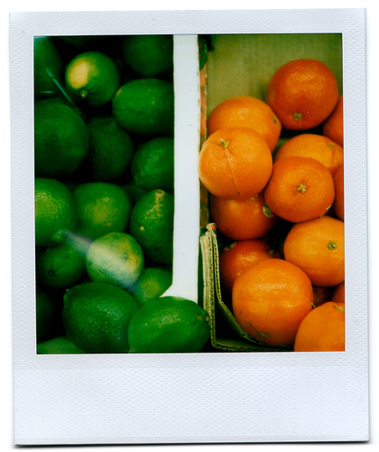 фото Polaroid