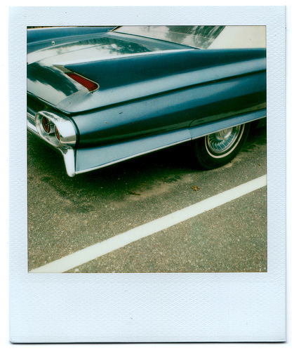 Polaroid Photography of Grant Hamilton