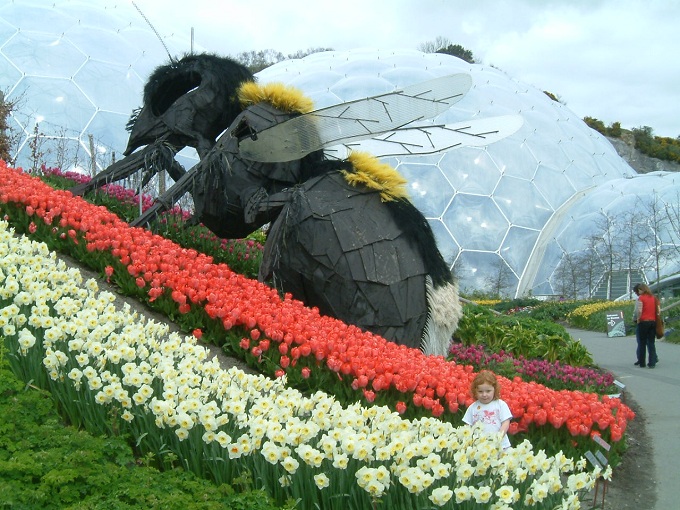 EdenProject.jpg