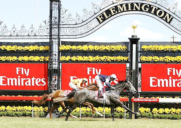 жеребец efficient победитель конных скачек melbourne cup