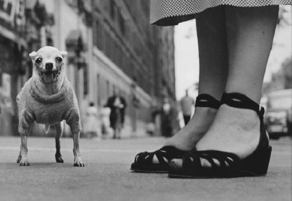 elliot_erwitt10.jpg