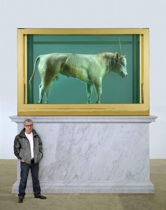 the golden calf by damien hirst