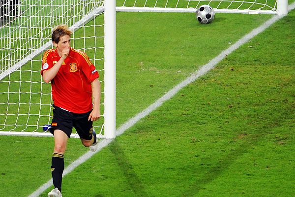 euro2008_allstar_fernando_torres_spain.jpg