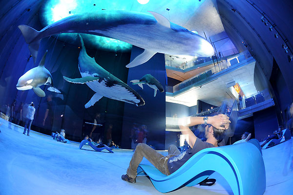 ozeaneum03.jpg