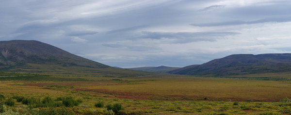 Панорама тундры