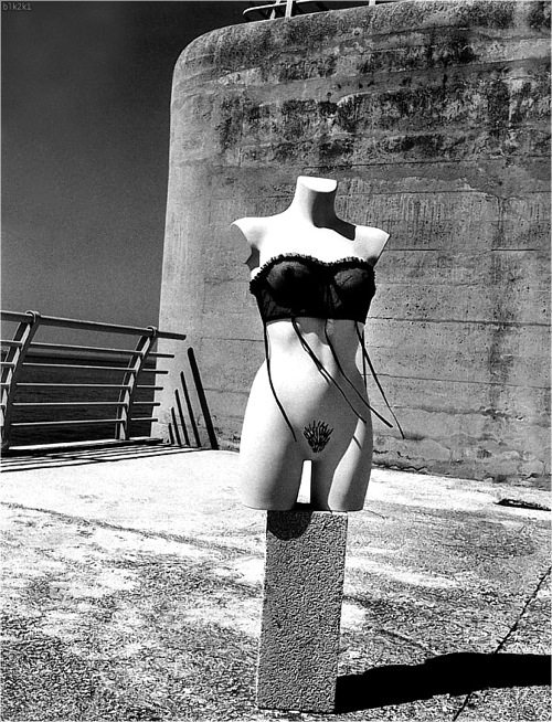 helmut_newton_various_photos10.jpg