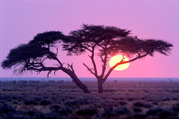 etosha_national_park_namibia09.jpg