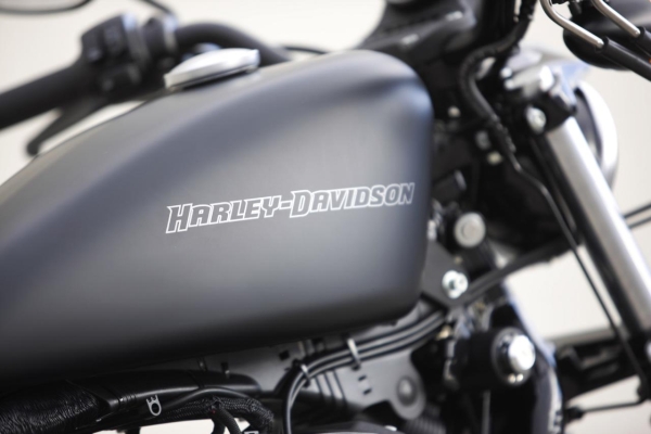 Мотоцикл Harley-Davidson Sportster Iron 883