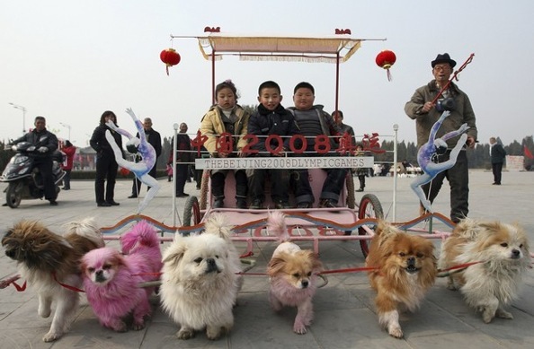 chinese_new_new_year_yuncheng_shanxi_province.jpg