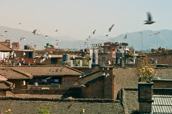 nepal_bhaktapur_roofs_18_IMG_0169.jpg