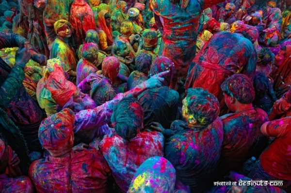 Festival of Colors