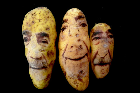 potatoportraits05.jpg