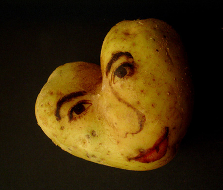 potatoportraits08.jpg