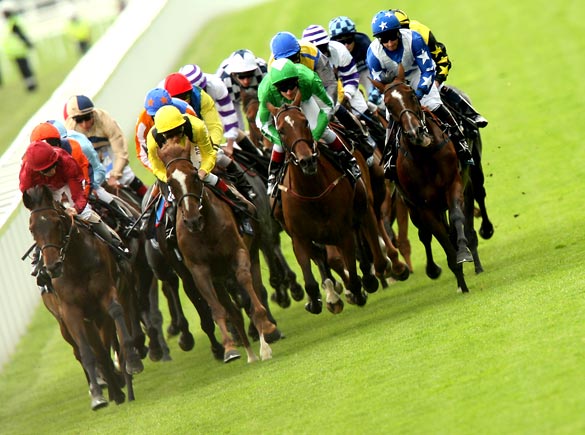 royal_ascot05.jpg