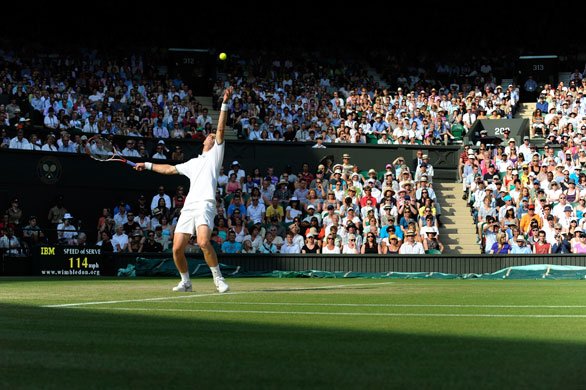 wimbledon_andy_murray.jpg