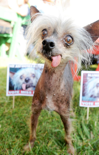 worlds_ugliest_dog_2009_06.jpg