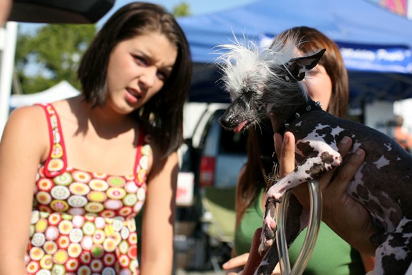 worlds_ugliest_dog_2009_07.jpg