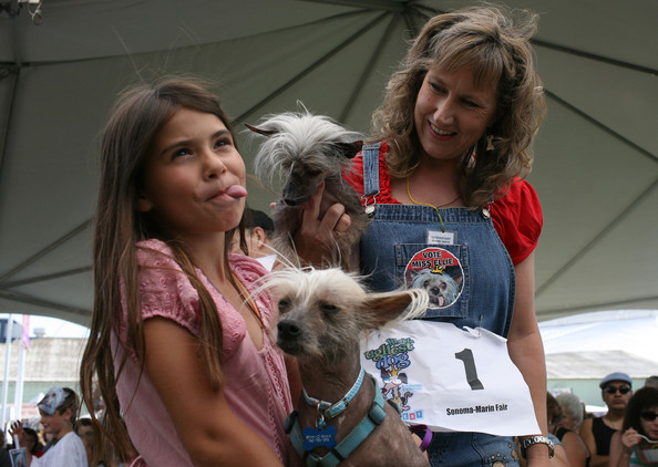 worlds_ugliest_dog_2009_12.jpg