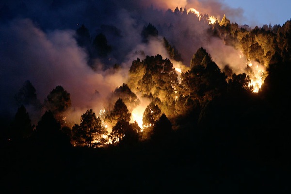 la_palma_fires02.jpg