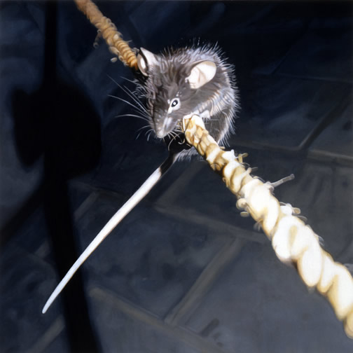 mouseonrope1.jpg