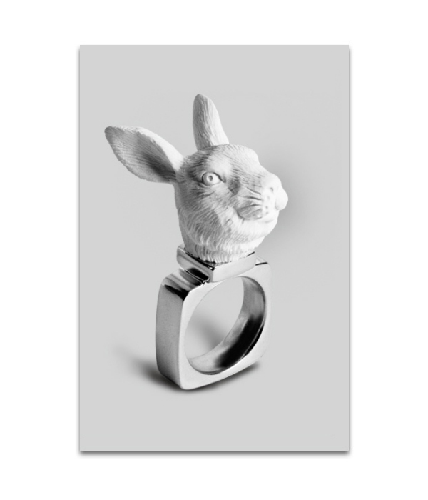 Haoshi Rings Animal Series