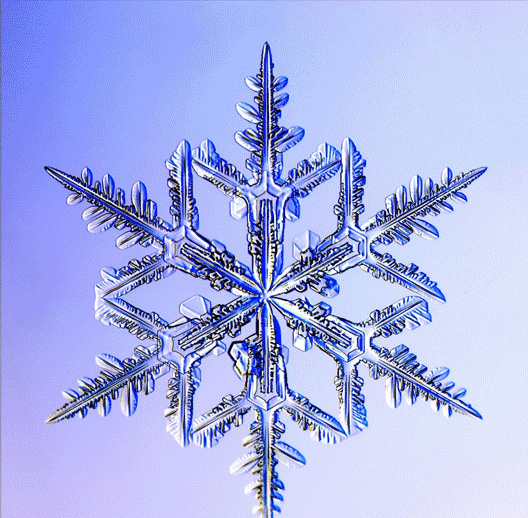 dendrite-snowflake-1047254-sw.jpg