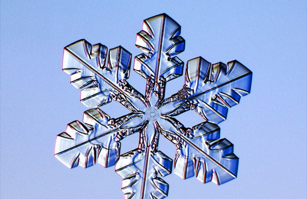sectored-snowflake-1047255-sw.jpg