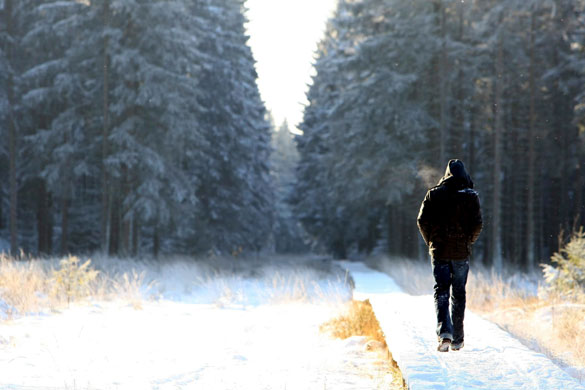 winter_jalhay_belgium.jpg