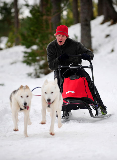 aviemore_husky_sled_dog_rally04.jpg