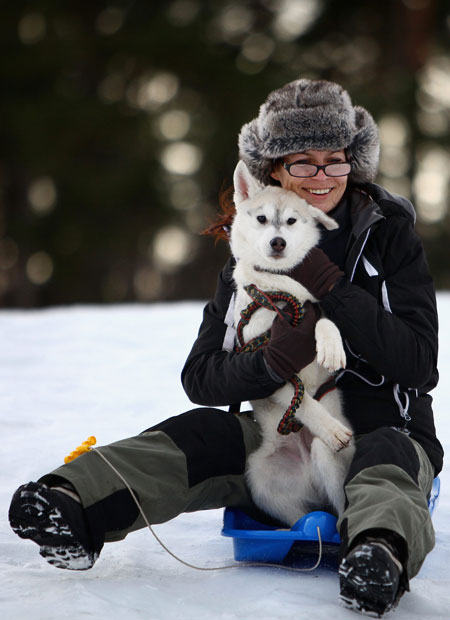 aviemore_husky_sled_dog_rally08.jpg