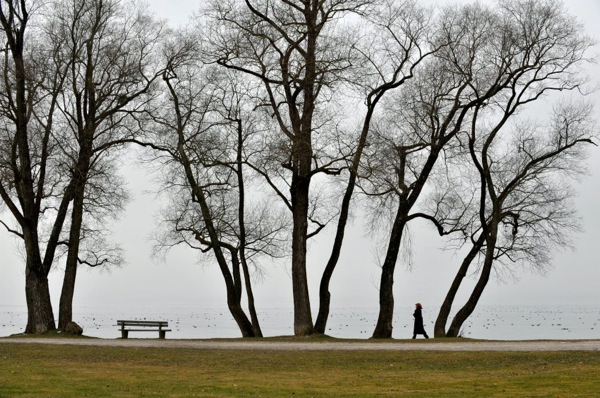 germany_winter_ammersee_lake_herrsching_bavaria.jpg