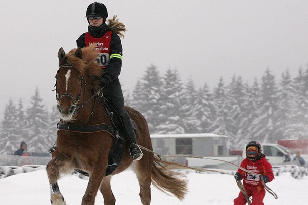 germany_winter_skikjoring_elend_harz.jpg