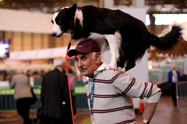 crufts_dog_show_birmingham02.jpg