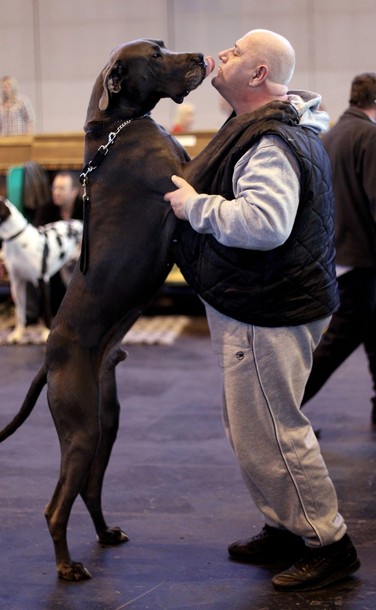 crufts_dog_show_birmingham22.jpg