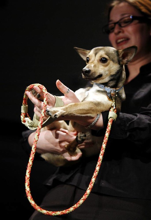 pet_apparel_fashion_show_new_york10.jpg