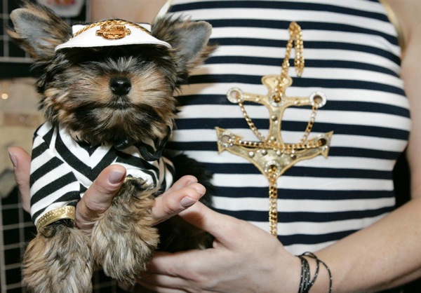 pet_fashion_week_moscow11.jpg