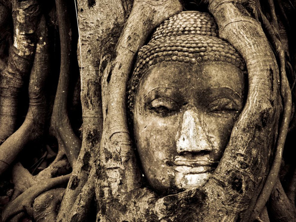 buddha-head-ayutthaya_19472_990x742.jpg