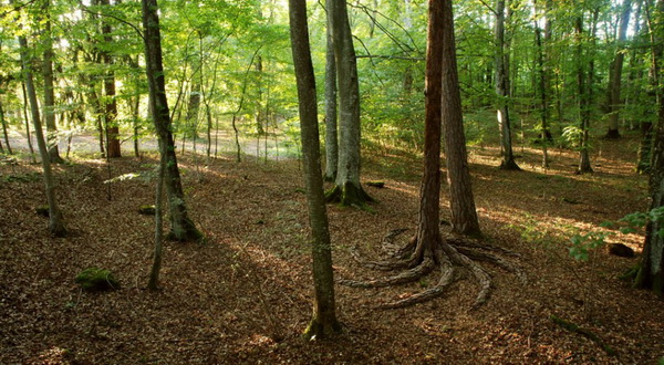 land_art-by-sylvain_meyer-06_.jpg