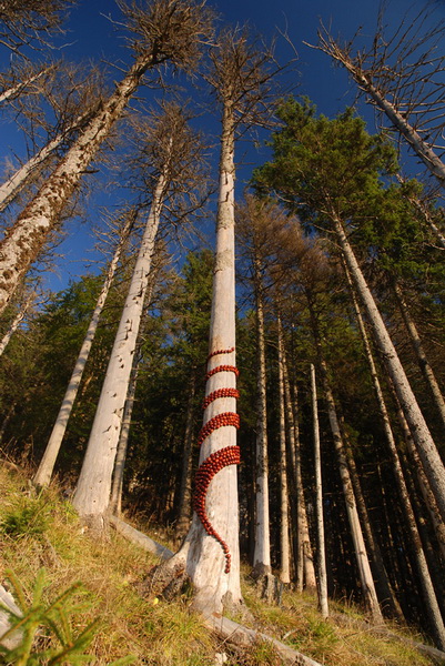 land_art-by-sylvain_meyer-11_.jpg