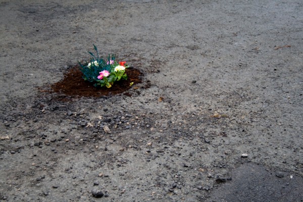 pothole_garden_04-600x400.jpg