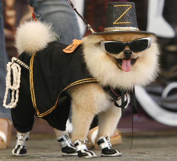 ss-101025-halloween-pets-17_ss_full.jpg