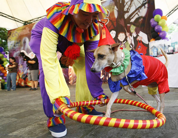 ss-101025-halloween-pets-19_ss_full.jpg