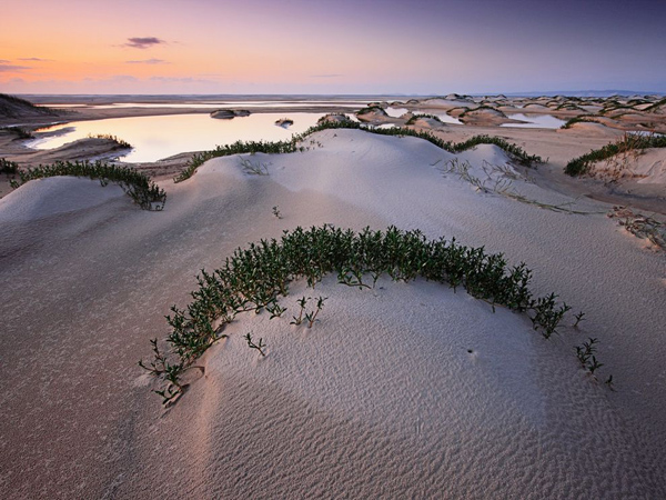 sand-dune-fraser-island_27501_990x742.jpg