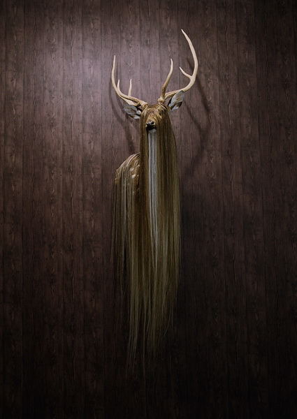 simen-johan-taxidermy-1_.jpg