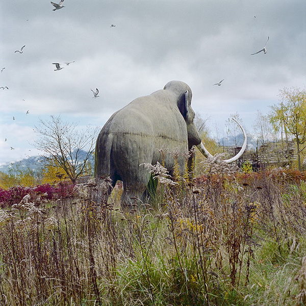 simen-johan-taxidermy-7_.jpg