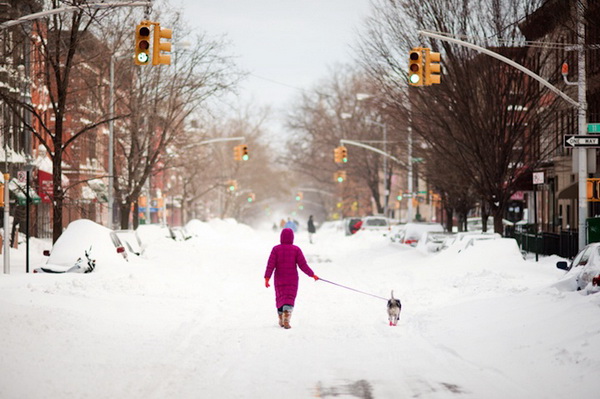 brooklynsnowstorm1_.jpg