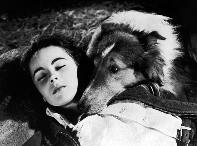 ss-080731-liz-taylor-1946lassie_ss_full.jpg