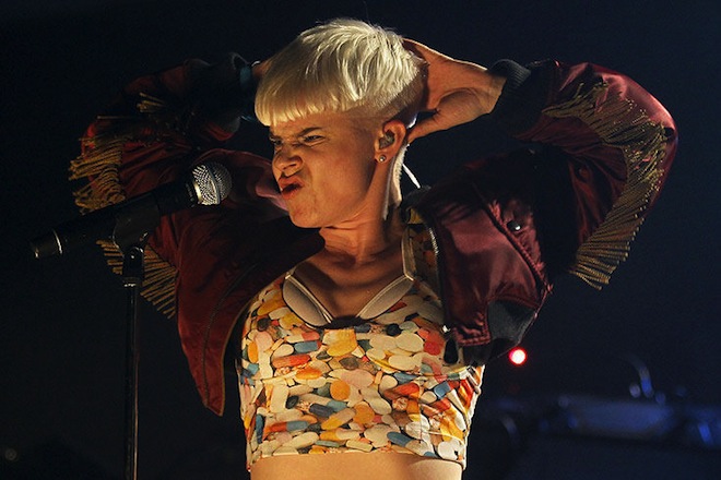 coachella_festival_robyn_swedish_singer.jpg