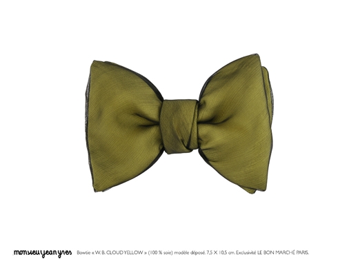 quirkybowties24.jpg